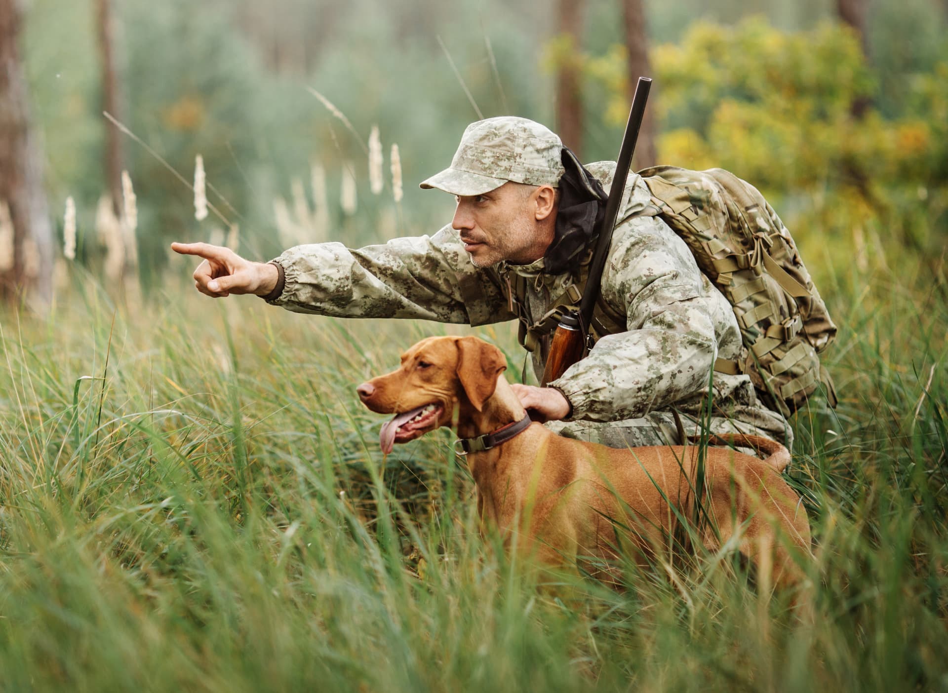 Hunting in woods
